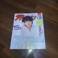 【非売品】ザテレビジョン 中村倫也　2025年7月号のサムネイル
