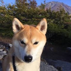 たっちゃん様専用ページのサムネイル