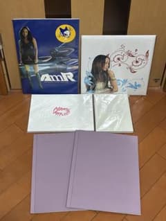 安室奈美恵　 ツアーパンフレットセット 安室奈美恵 ツアーパンフレット& 写真集 GIFTセット！ - メルカリ