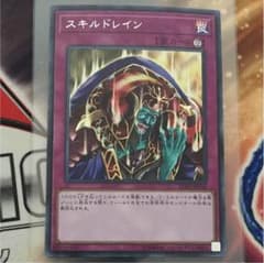 スキドレ シクのサムネイル