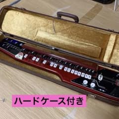 SUZUKI 電気大正琴 蘭 ハードケース付き - メルカリ