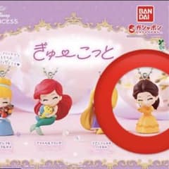 꽉 콧디즈니 프린세스 벨 칩
