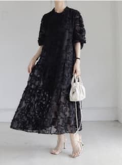 jacquard sheer dre ss / blackのサムネイル