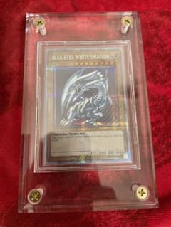 BLUE EYES WHITE DRAGON  ブルーアイズホワイトドラゴン英語のサムネイル