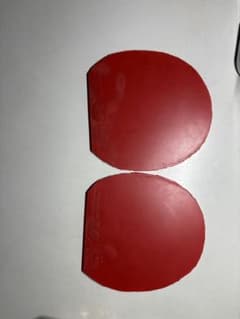 【値下げ交渉⭕️】ディグニクス09c赤特厚2枚セットのサムネイル