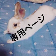 りん様専用ページ！他の方は購入不可ですのサムネイル