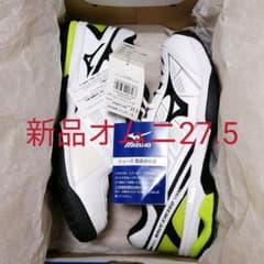 【最終価格】テニスシューズ　ウェーブエクシード　オムニクレー27.5cmのサムネイル