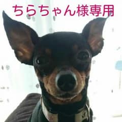 ちらちゃん様専用のサムネイル