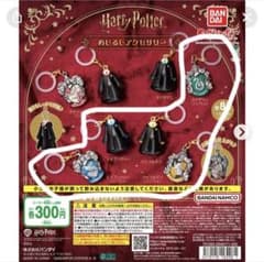 ハリー・ポッター めじるしアクセサリー 5種セットのサムネイル
