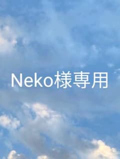 Neko様専用のサムネイル