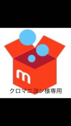 クロマニヨン様専用 ノースフェイス パーカーのサムネイル