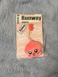 Aぇ！group Runway 末澤誠也 ぬい＆イニシャルキーホルダー - メルカリ