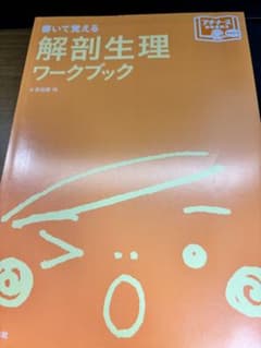 Thumbnail of 書いて覚える解剖生理ワークブック カバー無し