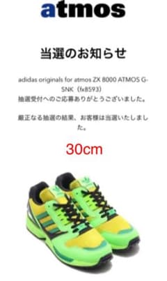 adidas ZX 8000 ATMOS G-SNKのサムネイル
