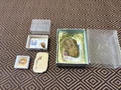 三葉虫/虫入り琥珀/モササウルスの歯/魚の化石4テンセットのサムネイル