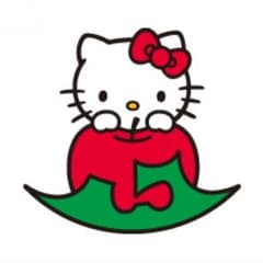 Rosy様確認用〜キティー©️〜のサムネイル