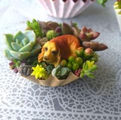 ☆ミニサイズ☆多肉植物☆寄せ植え☆そのまま飾れる☆落ち着きわんこ