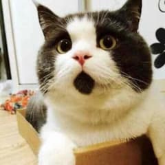 ぬまさま専用♡のサムネイル