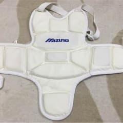 空手用 胸当てのサムネイル