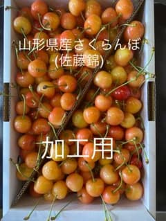 山形県産さくらんぼ (佐藤錦) 加工用のサムネイル