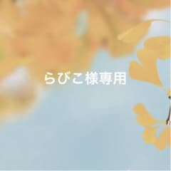 専用出品のサムネイル