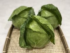 長野県で育てた新鮮で美味しい 信州868 キャベツ3玉のサムネイル