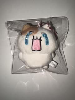 もちにゃみ ぬいぐるみマスコット なきにゃみのサムネイル