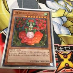 遊戯王のサムネイル