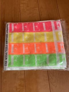 安室奈美恵　FEEL TOUR 2013　マフラータオルのサムネイル
