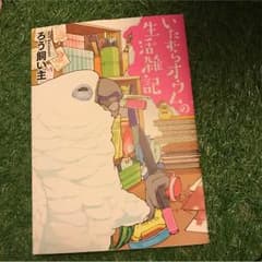 いたずらオウムの生活雑記のサムネイル