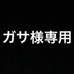ガサ様専用出品のサムネイル