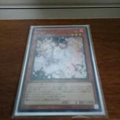 遊戯王 はるうらら スーパーレアのサムネイル
