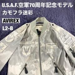 AVIREX】L-2B空軍70th記念モデル USAF カモフラ迷彩sizeM - メルカリ
