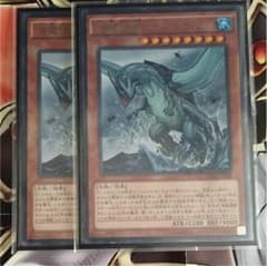 ガメシエル2枚セットのサムネイル