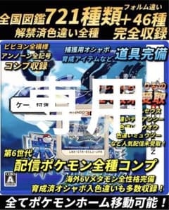 とろろページ ポケモン親名指定あり とろろ様専用ページ ポケモン親名指定あり - メルカリ