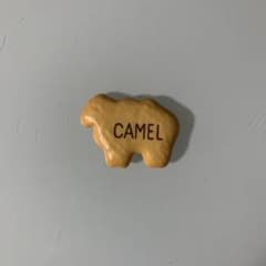 たべっ子どうぶつ マグネット 磁石 camelのサムネイル