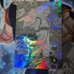 山*毅様 apt-006 孫悟空　アドバンスパック40thのサムネイル