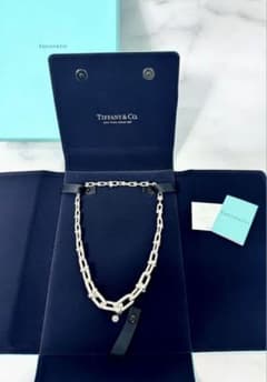 り*う様 美品☆Tiffany ハードウェア グラジュエイテッドリンク 