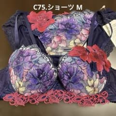 ワコール サルート63g セットアップ C75 - メルカリ