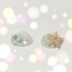 hand made❤︎人魚の落し物 天然貝 ヒトデ 夏ピアス mini01のサムネイル