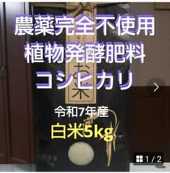 農薬完全不使用/植物発酵肥料 コシヒカリ 白米5kg（令和7年産米）のサムネイル