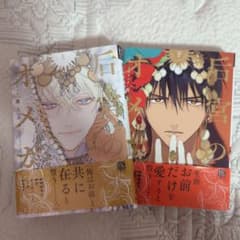 后宮のオメガ  上下巻のサムネイル