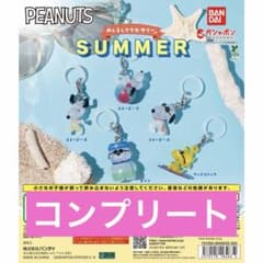 PEANUTS めじるしアクセサリー SUMMER 全5種 コンプリートのサムネイル
