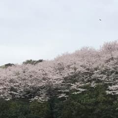 てー♡様専用のサムネイル