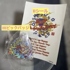 TMG 2026 SAYONARA　ピックバッジ　2024 シール　松本孝弘