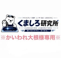 【かいわれ大根様専用】LED アクリルのサムネイル