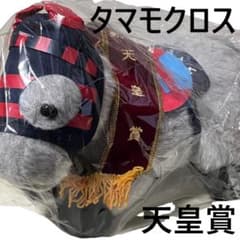 タマモクロス 天皇賞 AVANTI ぬいぐるみ 競馬 Sサイズ タマモクロス Sサイズ 天皇賞 ぬいぐるみ アバンティー 【1394y1】