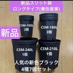 スリット鉢ロング 4種類7個セット（兼弥産業）人気の新色ブラック