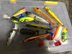 ブラックバス  トップルアーのサムネイル
