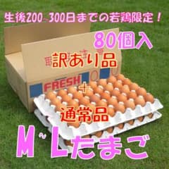 12/5発送【訳あり品+通常品混合】M~L80個のサムネイル